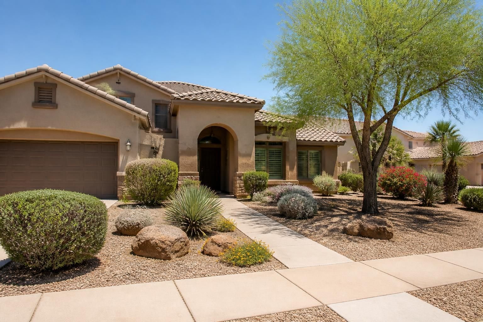 Suburban homes with clean desert-friendly landscaping in Avondale