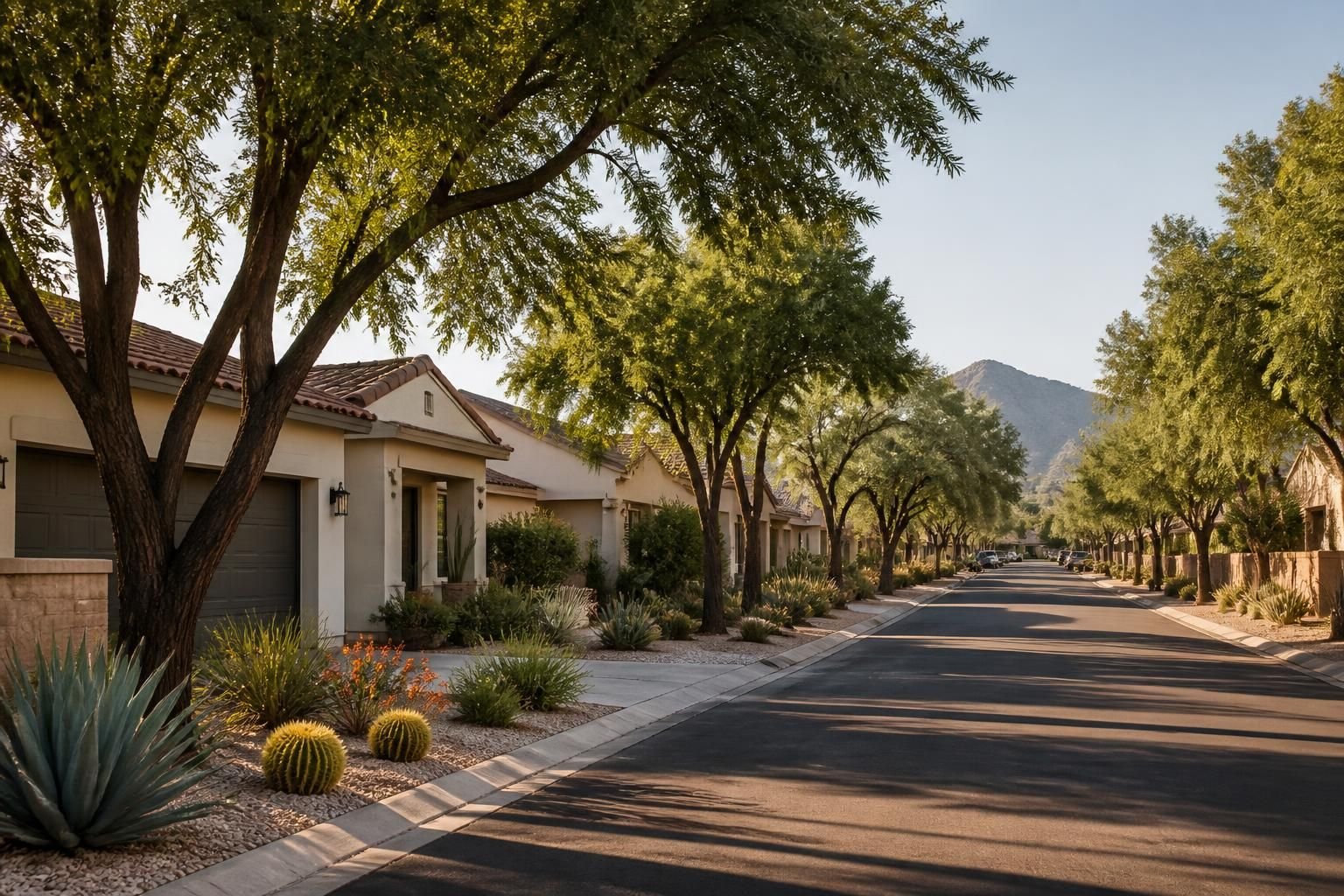 Residential street with desert plants and mature trees in Peoria