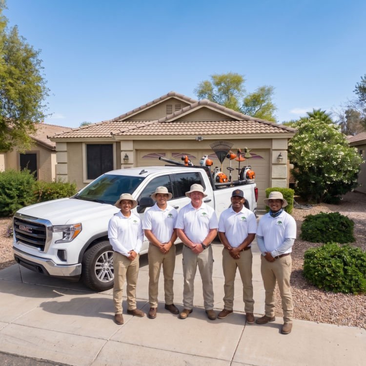 Trett landscaping phoenix